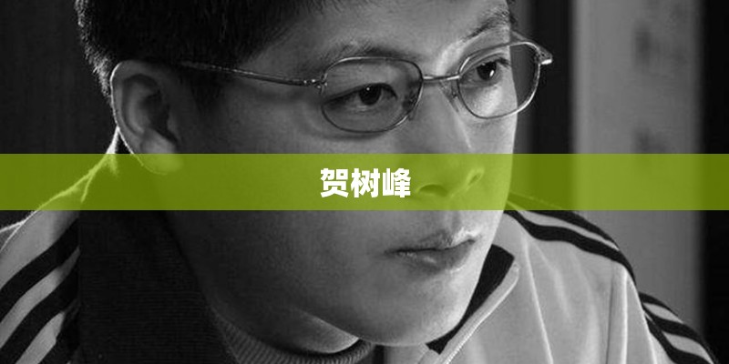 贺树峰