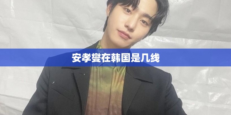 安孝燮在韩国是几线