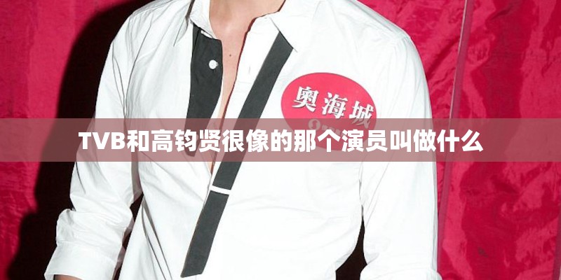TVB和高钧贤很像的那个演员叫做什么