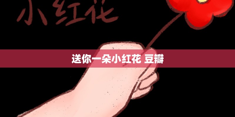 送你一朵小红花 豆瓣