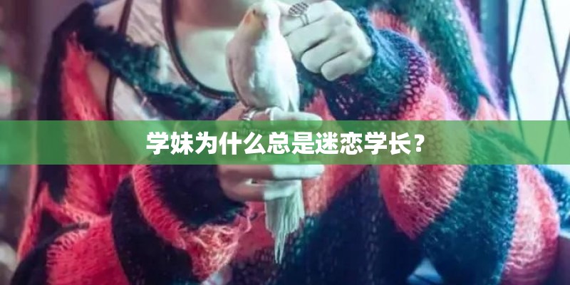 学妹为什么总是迷恋学长？