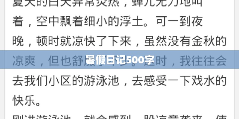 暑假日记500字