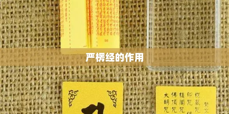 严楞经的作用