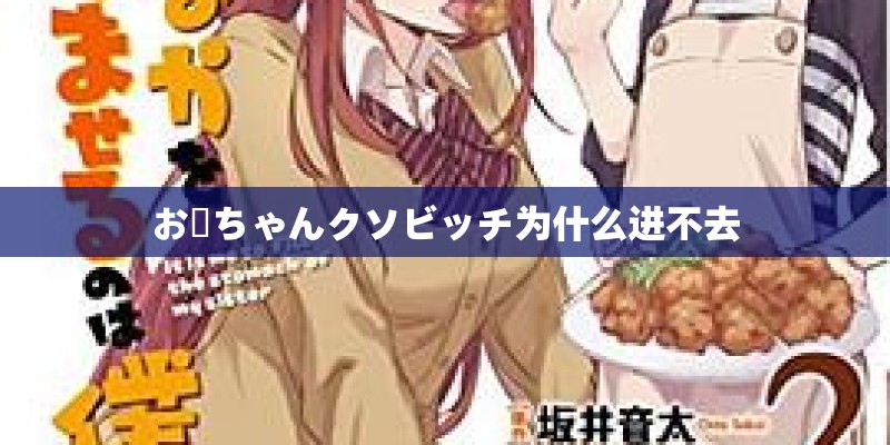 お姉ちゃんクソビッチ为什么进不去