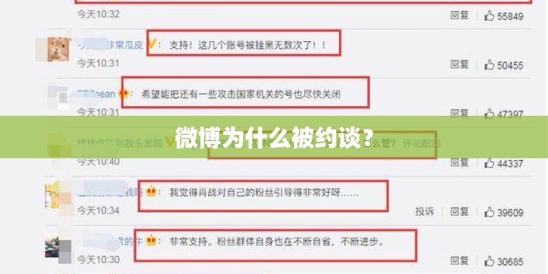 《themass》与《ss闪电部队在前进》两首歌的关系