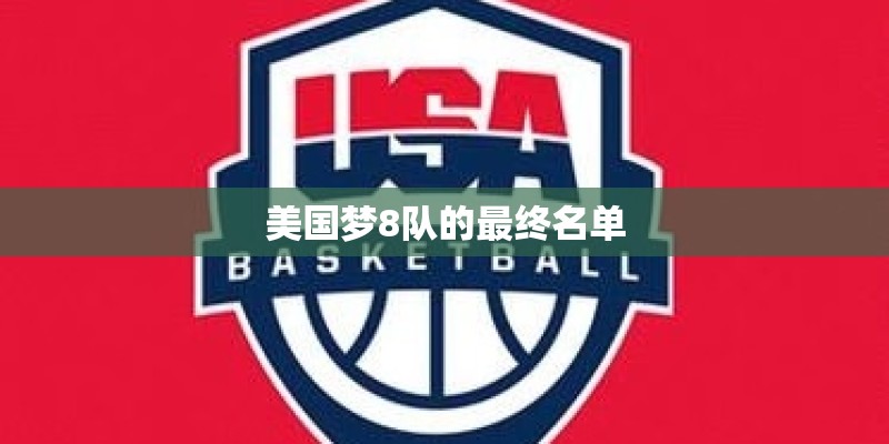 美国梦8队的最终名单