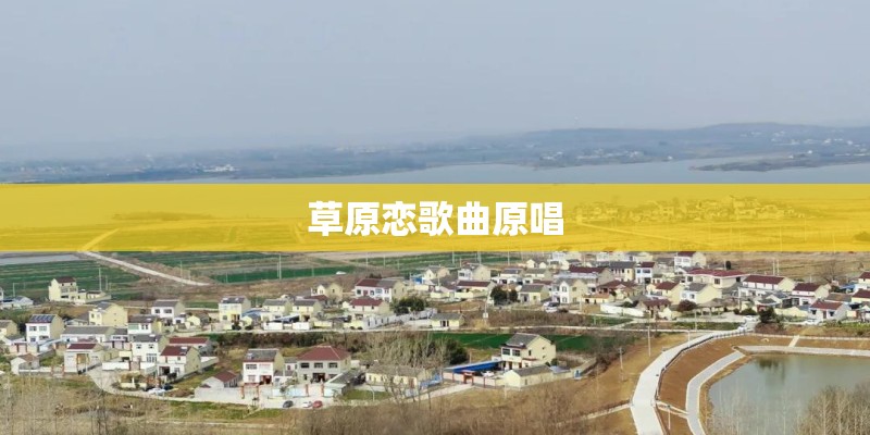 胡大鹏的艺术生涯