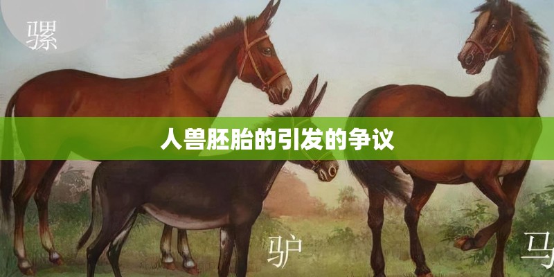 胡大鹏的艺术生涯