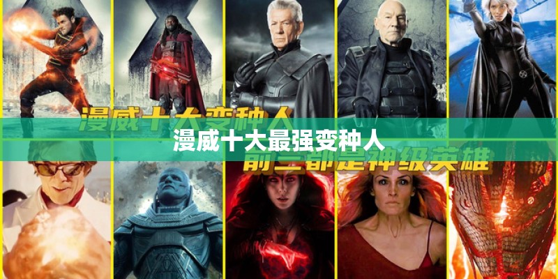柯艾文化和最世文化有什么不同吗