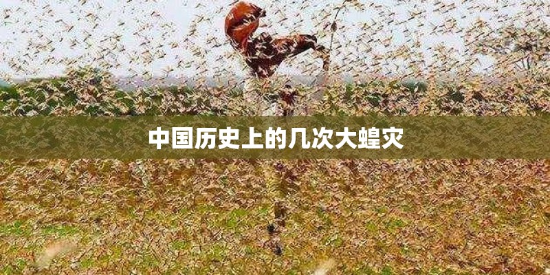 中国历史上的几次大蝗灾 中国历史上的几次大蝗灾