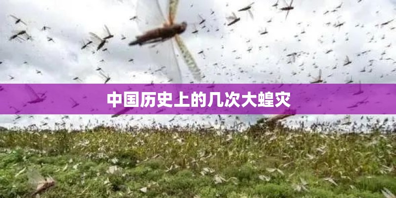 中国历史上的几次大蝗灾 中国历史上的几次大蝗灾