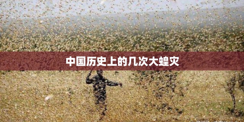 中国历史上的几次大蝗灾 中国历史上的几次大蝗灾