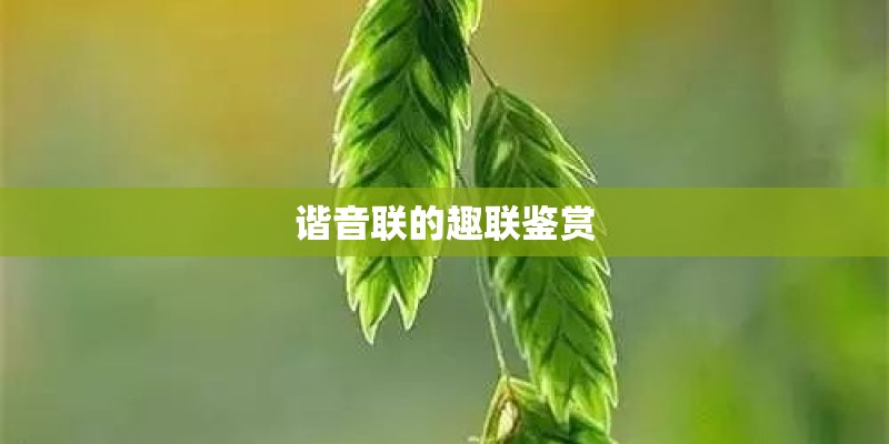谐音联的趣联鉴赏