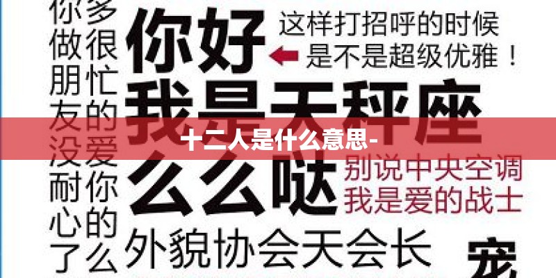 十二人是什么意思- 十二人是什么意思-