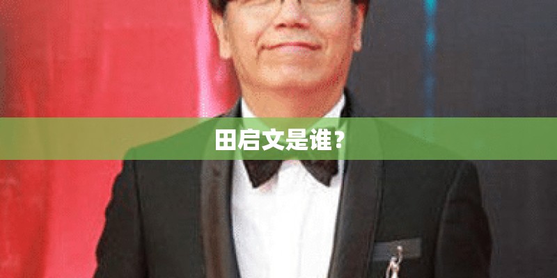 田启文是谁？