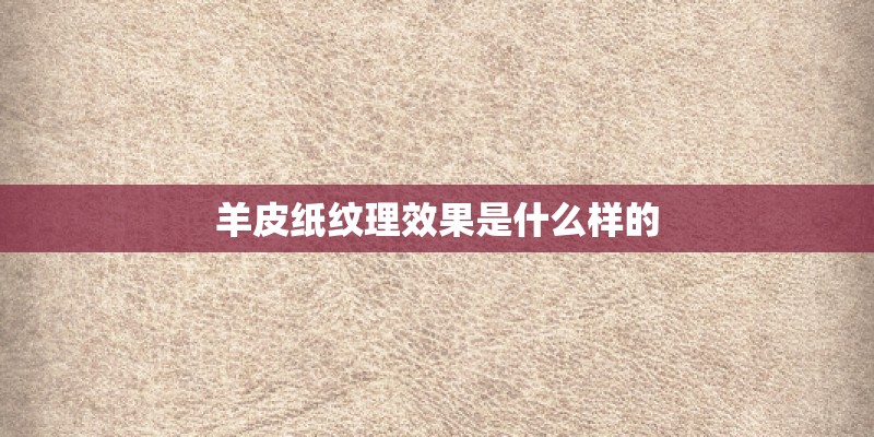 羊皮纸纹理效果是什么样的 羊皮纸纹理效果是什么样的