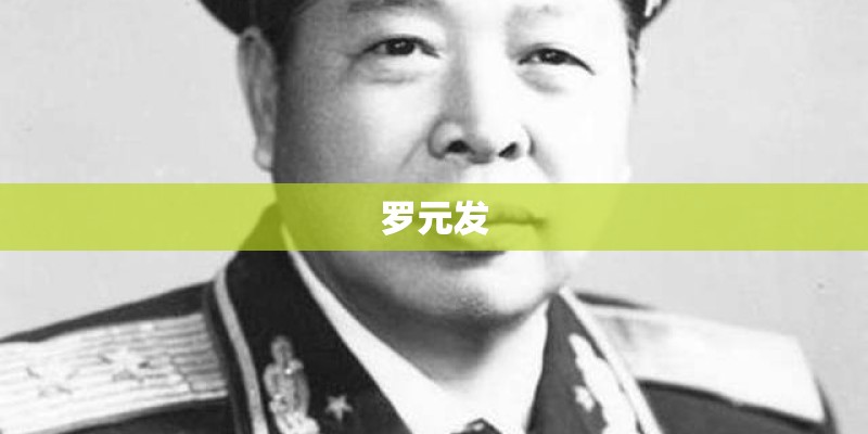 罗元发 罗元发