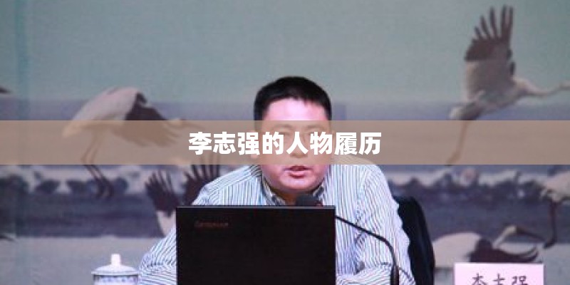 李志强的人物履历
