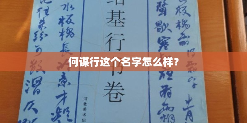 夏美酱性感的照片 有些尺度还是挺大的