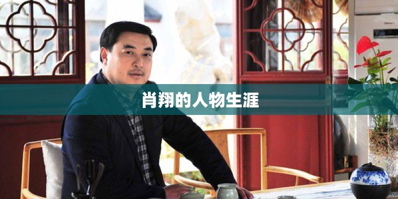 肖翔的人物生涯