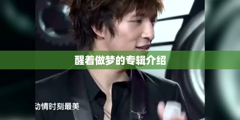 醒着做梦的专辑介绍