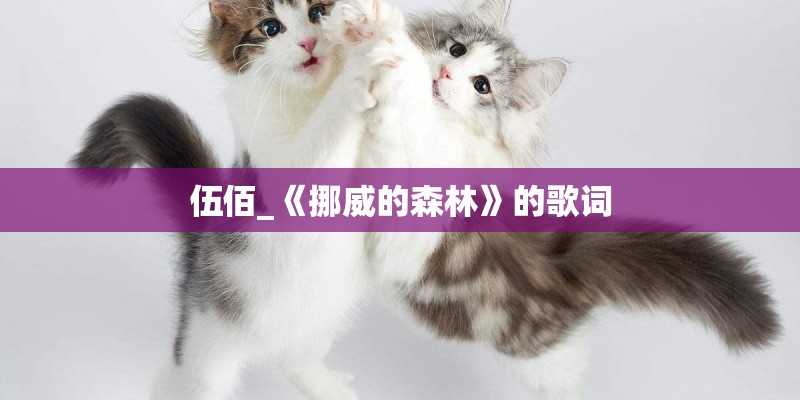 伍佰_《挪威的森林》的歌词