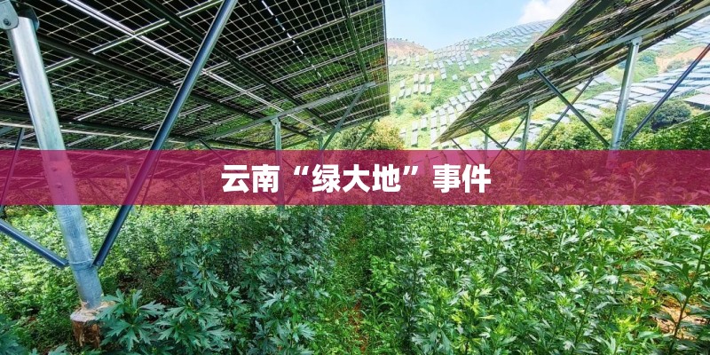 甄嬛传 贞嫔