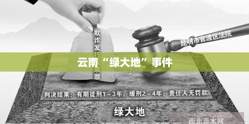 云南“绿大地”事件 云南“绿大地”事件