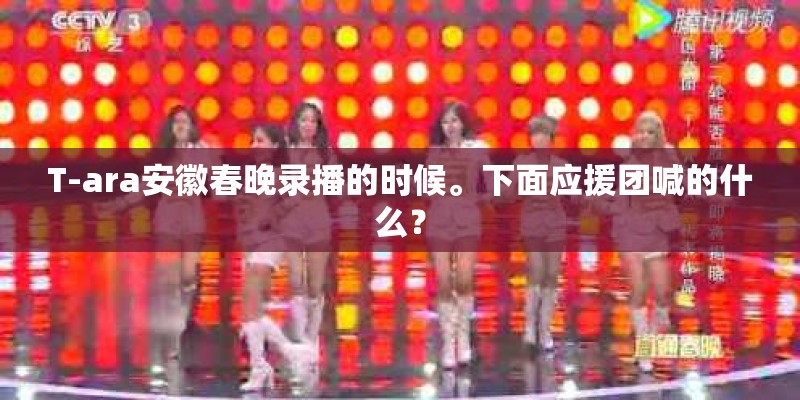 T-ara安徽春晚录播的时候。下面应援团喊的什么？