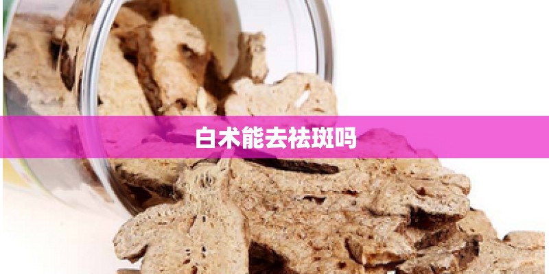 白术能去祛斑吗