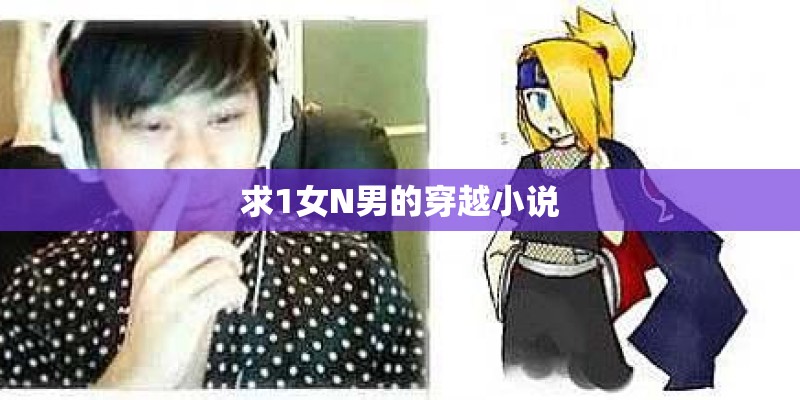 求1女N男的穿越小说 求1女N男的穿越小说