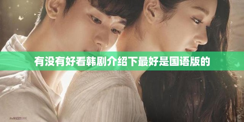 有没有好看韩剧介绍下最好是国语版的