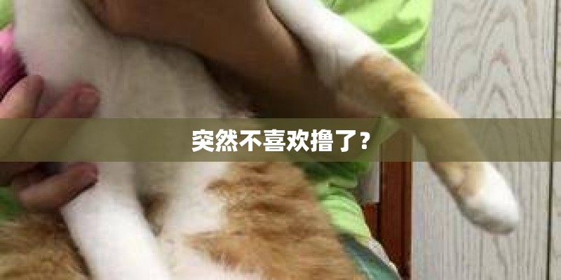 突然不喜欢撸了? 突然不喜欢撸了?