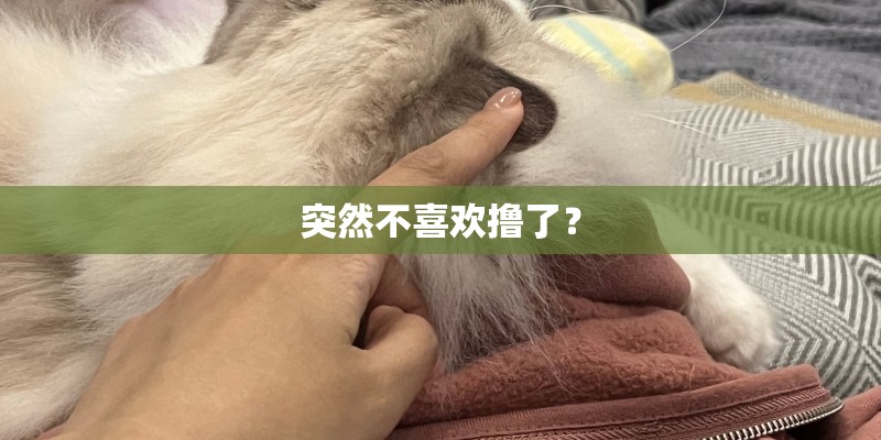 突然不喜欢撸了? 突然不喜欢撸了?