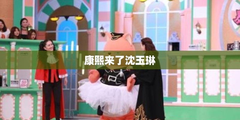 康熙来了沈玉琳