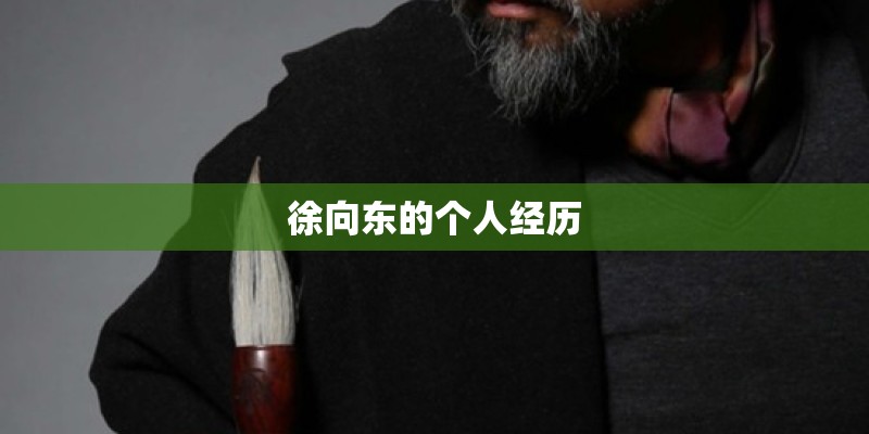 徐向东的个人经历
